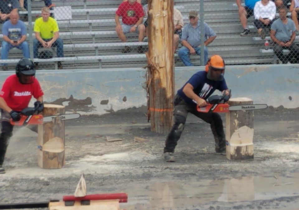 Lumberjack fest photo of the chainsaw competition